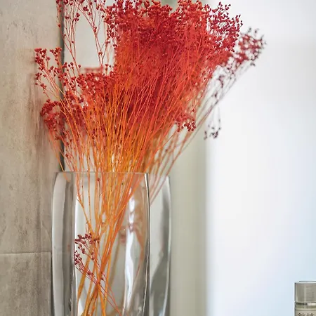 Lv Premier P.real- Pi *