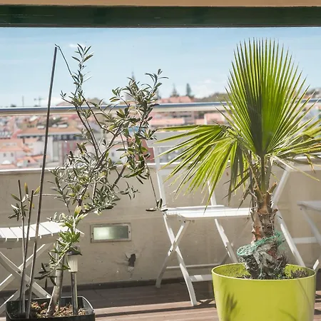 شقة Lv Premier P.real- Pi